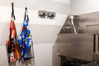 Community exit at The Whit, Minnesota